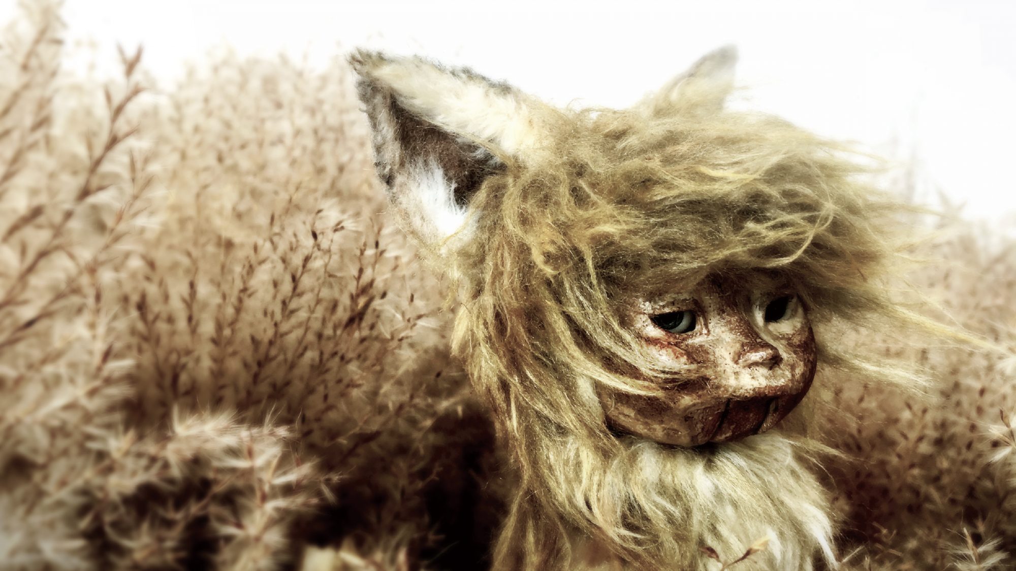 ANI-03_GO, THE LITTLE FOX_CM002704