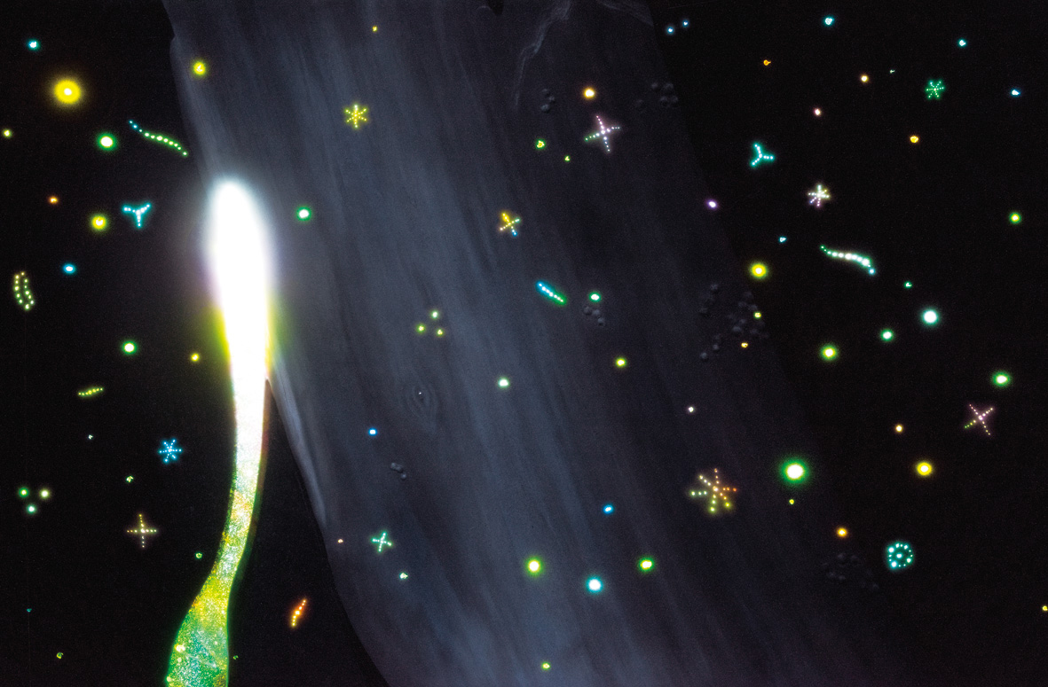 ANI-j06_-DEEP-SEA'S-RAINBOW-CM003167