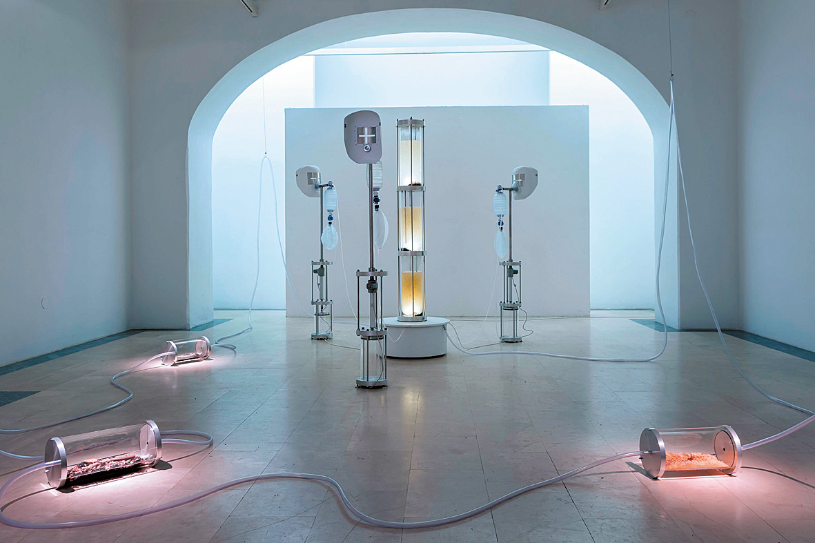 ART-j08_Inspiration-AB005455