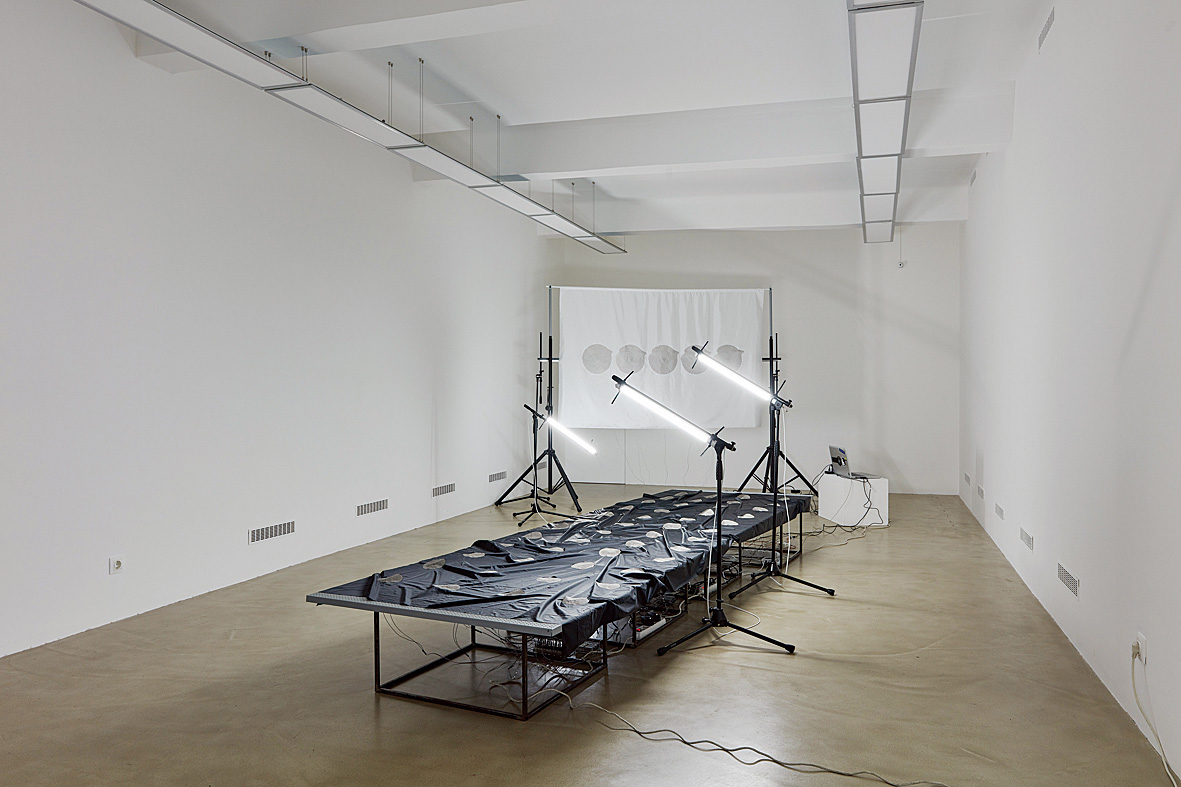 ART-j11_Phase-In,-Phase-Out-AB005097